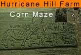 Hurricane Hill Farm and Corn Maze,704 East Reeceville Road, Coatesville,PA