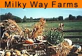 Milky Way Farms,521 E. Uwchlan Ave. (Rte. 113),Chester Springs,PA